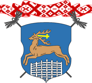 Фестиваль трубочистов Гродно